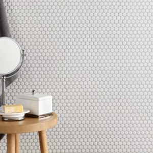 CC Unglazed Porcelain Penny Round